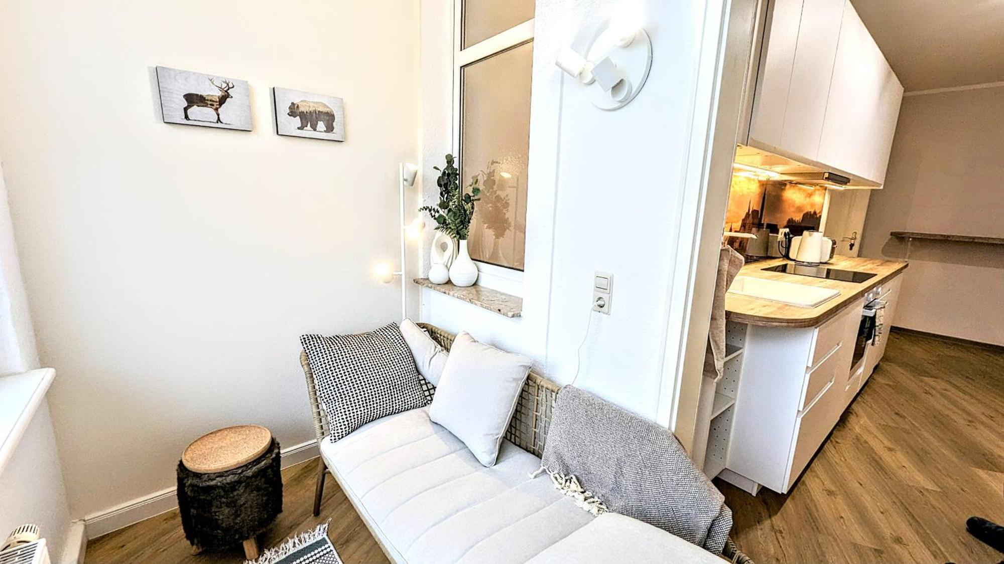 Meissen Apartments - Moderne Ferienwohnungen In Meissen Am Lutherplatz Esterno foto